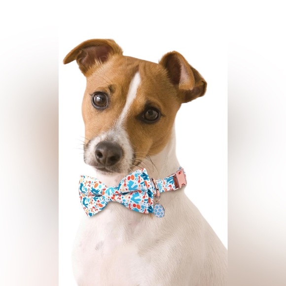 Easter Dog Collar with Bowtie Adjustable Size Medium 13-20" NEW in Package Blue. - Picture 3 of 3